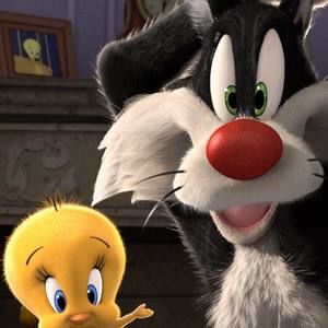 Meet your Posher, Ada